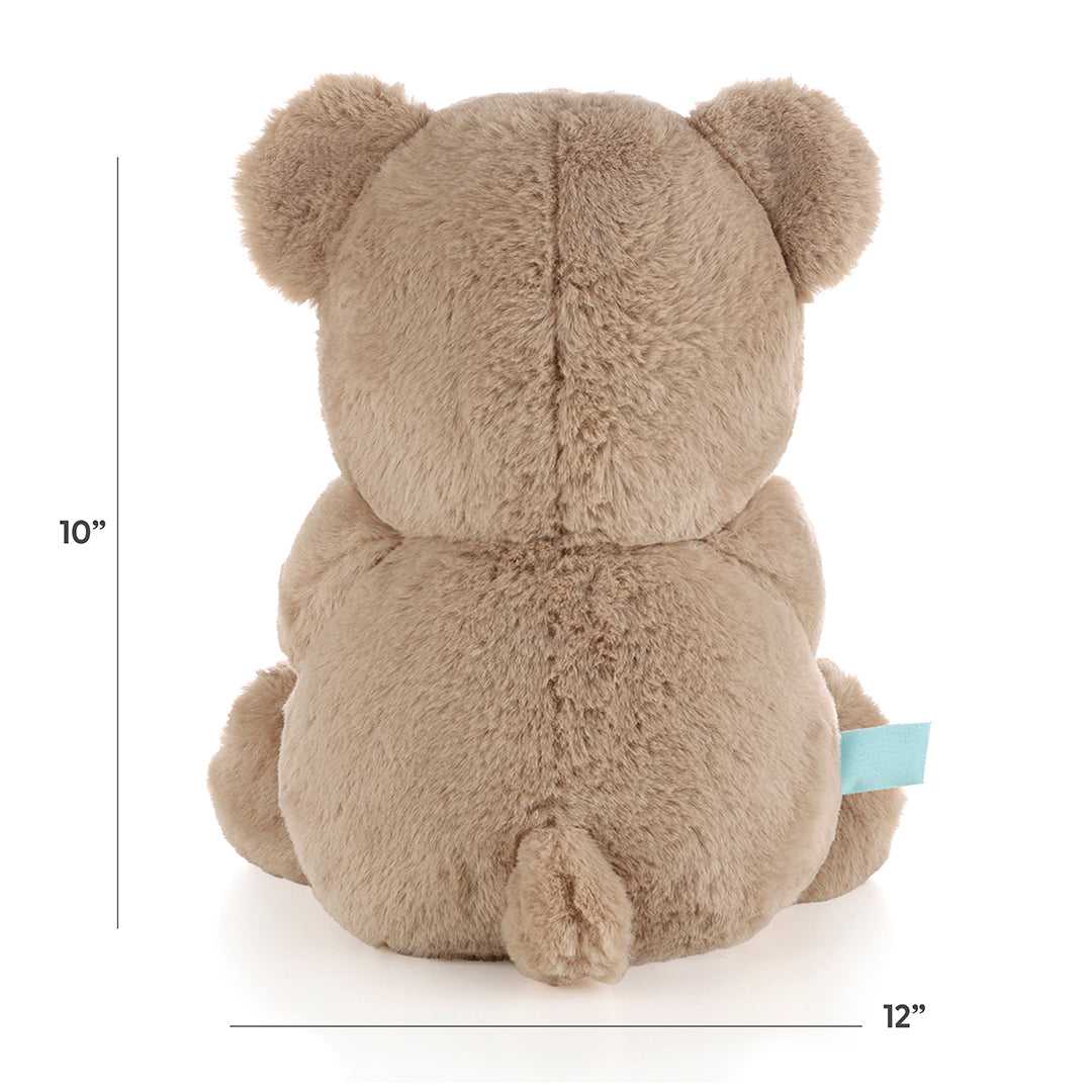 Benny the Plush Bear - Image 3