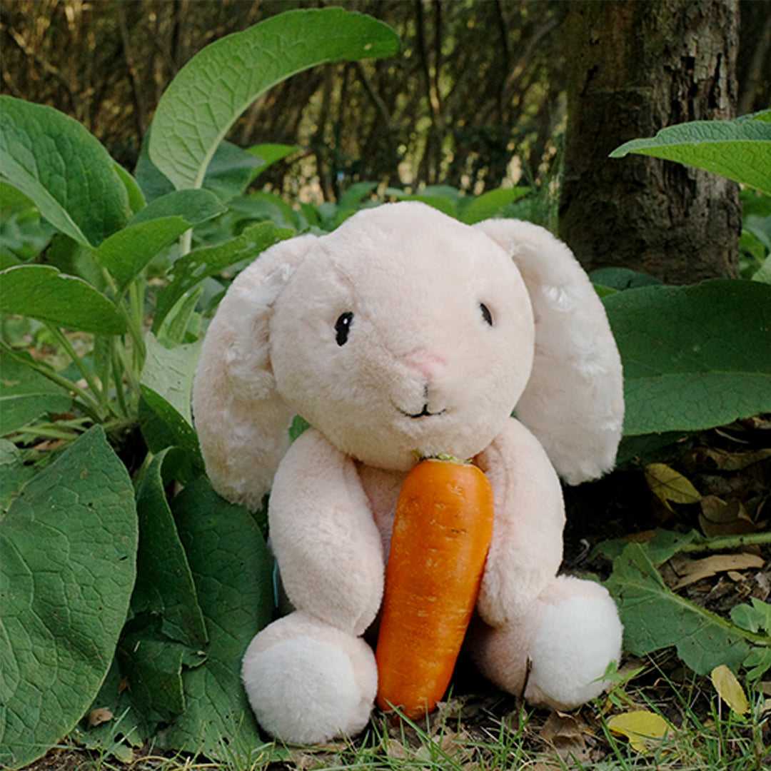 Fluffy the Plush Rabbit - Image 6