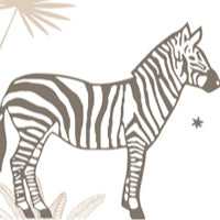 Caramel Safari Organic Bassinet Sheets 4-Pack for Boys and Girls - Image 7