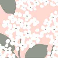 Cottage Floral Organic Bassinet Sheets 4-Pack for Boys and Girls - Image 7